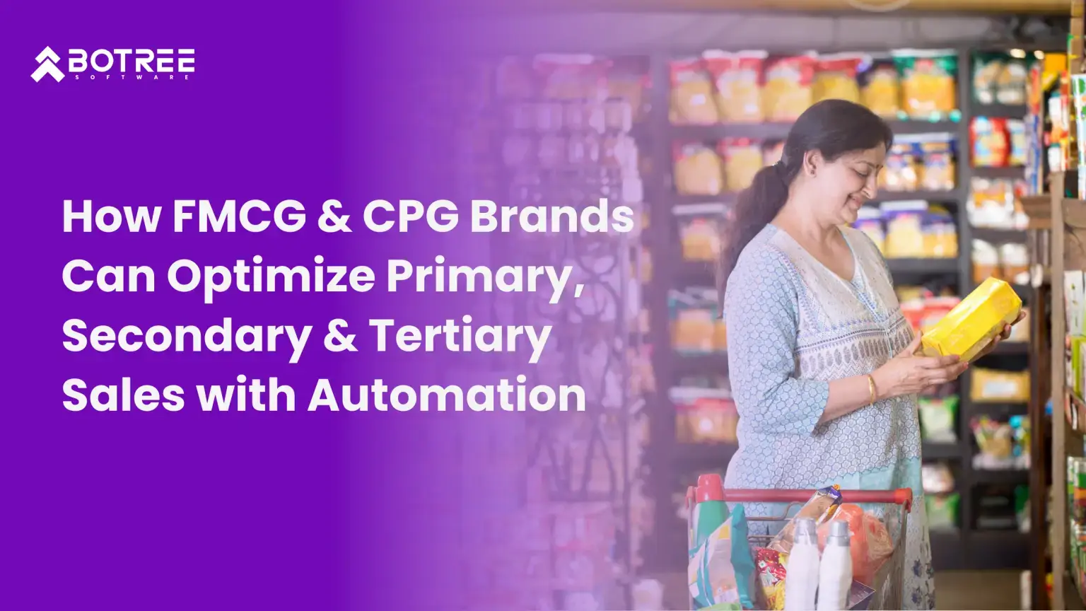 Botree How FMCG CPG Brands Can Optimize Primary Secondary Tertiary Sales with Automation