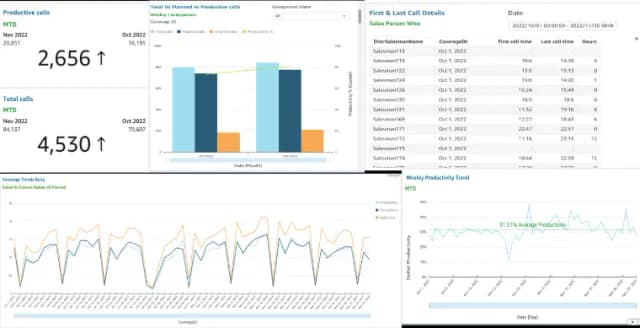 Botree sales-person-visibility Botree sales-person-visibility